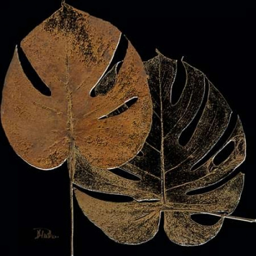 Black Balazo I Poster Print by Patricia Pinto - Item # VARPDX7622