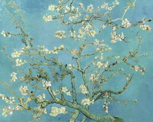 Almond Blossoms 1890 Poster Print by Vincent Van Gogh - Item # VARPDXV551D