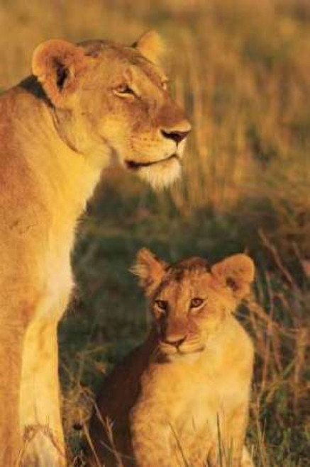 My Mom and I Poster Print by Susann Parker - Item # VARPDXPSPKR130