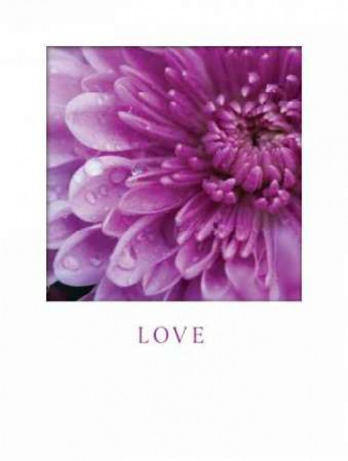 Love Poster Print by Erin Berzel - Item # VARPDXBZL014