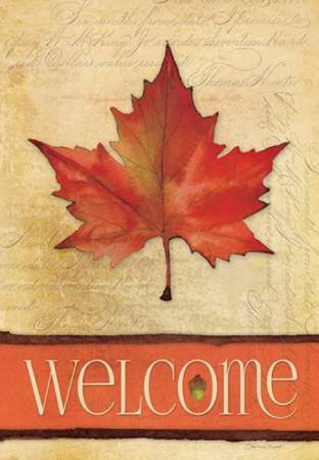 Maple in Fall II Poster Print by Stephanie Marrott - Item # VARPDXSM158070