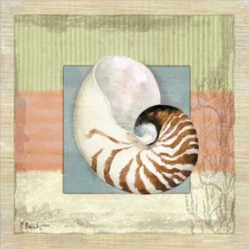 Montego Nautilus Poster Print by Paul Brent
