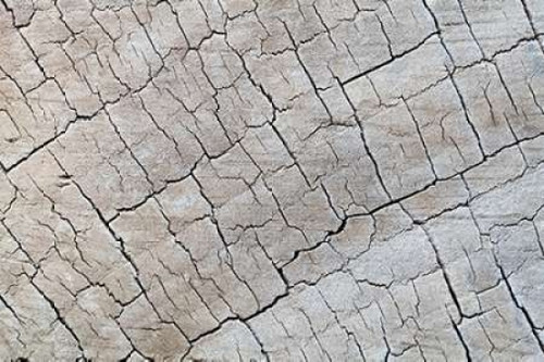 Weathered Wood I Poster Print by Kathy Mahan - Item # VARPDXPSMHN490
