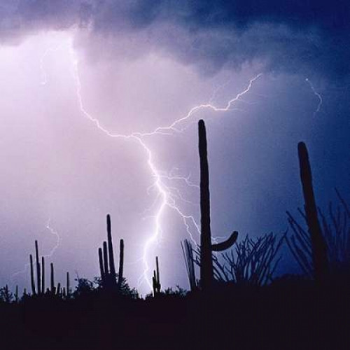 Electric Desert IV Poster Print by Douglas Taylor - Item # VARPDXPSTLR171