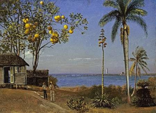 Tropical Scene Poster Print by  Albert Bierstadt - Item # VARPDX267733