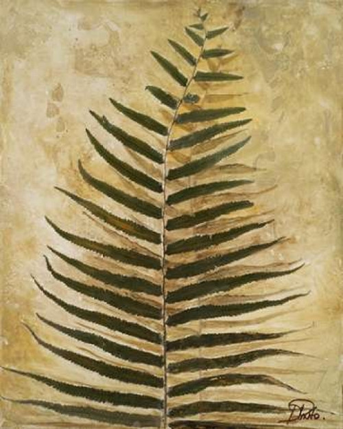 Ferns III Poster Print by Patricia Pinto - Item # VARPDX6480