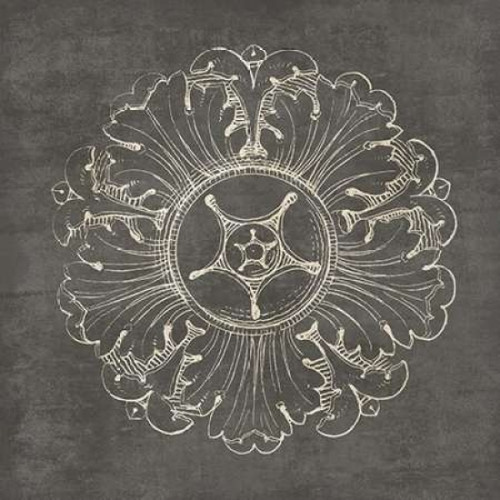 Rosette VI Gray Poster Print by  Wild Apple Portfolio - Item # VARPDX21578