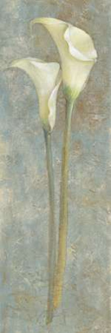 Calla Lily II Poster Print by Lanie Loreth - Item # VARPDX5920A