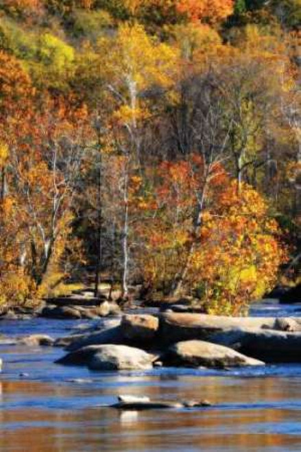 Autumn on the River I0 Poster Print by Alan Hausenflock - Item # VARPDXPSHSF572