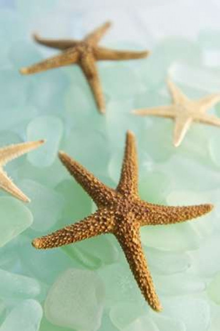 Crystal Cove - 30 Poster Print by Alan Blaustein - Item # VARPDXABSHC249A