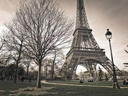 View of Eiffel tower from park, Paris, France Poster Print by  Assaf Frank - Item # VARPDXAF20120314507C05