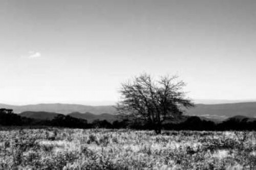 Big Meadow III Poster Print by Alan Hausenflock - Item # VARPDXPSHSF347 Big Meadow III Poster Print by Alan Hausenflock - Item # VARPDXPSHSF347