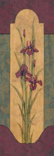 Greek Iris I Poster Print by Paul Brent - Item # VARPDXBNT126