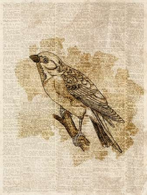 Vintage Bird I Poster Print by Sd Graphics Studio - Item # VARPDX8768AA