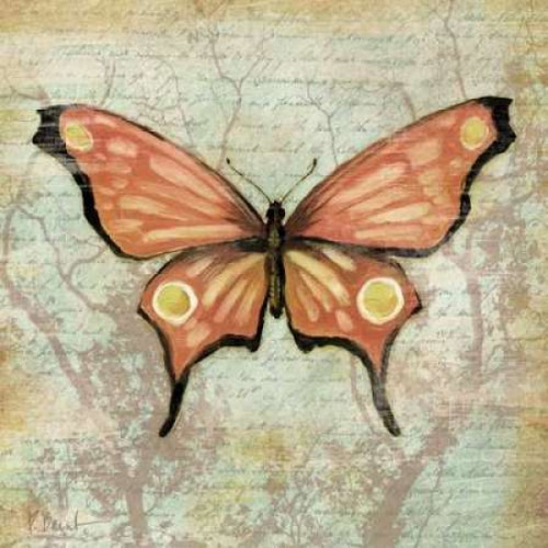 Vintage Butterflies I Poster Print by Paul Brent - Item # VARPDXBNT216