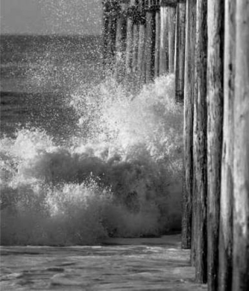 Wave VII Poster Print by Lee Peterson - Item # VARPDXPSPSN120