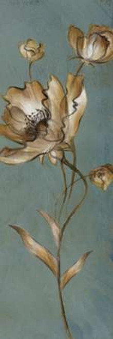 Translucent Poppies Poster Print by Lanie Loreth - Item # VARPDX6218A