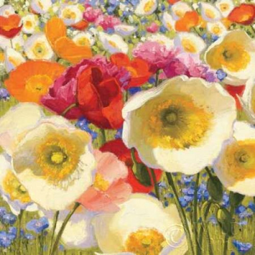 Sunny Abundance Poster Print by Shirley Novak - Item # VARPDX8517