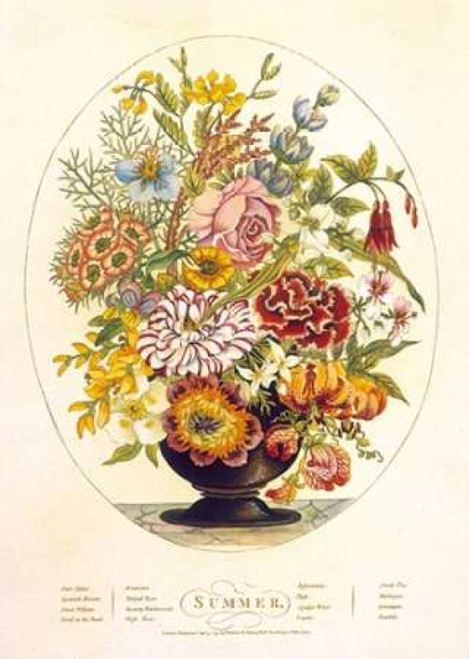 Summer Poster Print by  Charles OBrien - Item # VARPDXCB02