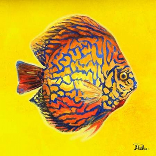 Bright Aquatic Life I Poster Print by Patricia Pinto - Item # VARPDX9212R