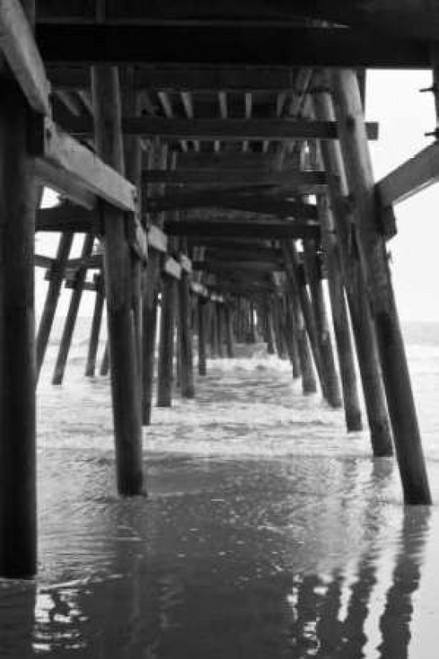 Pier Pilings XVIII Poster Print by Lee Peterson - Item # VARPDXPSPSN145