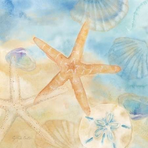 Watercolor Shells IV Poster Print by Cynthia Coulter - Item # VARPDXRB7431CC