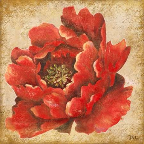Red Peony on Gold Poster Print by Patricia Pinto - Item # VARPDX8780A