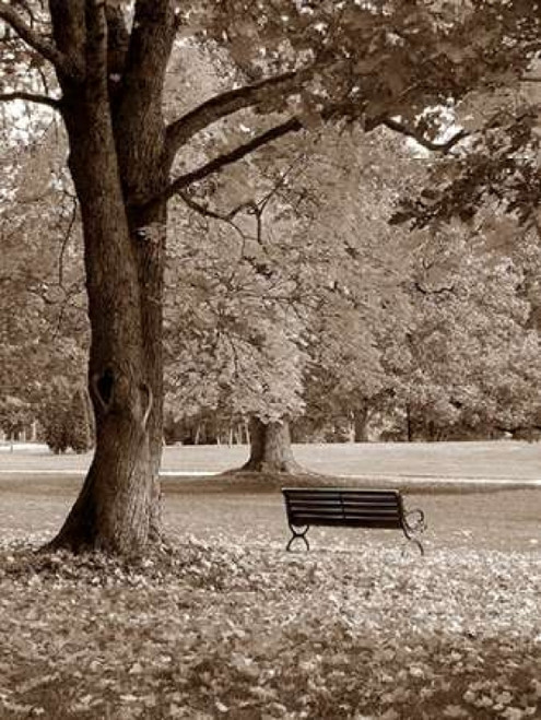Park View Poster Print by PhotoINC Studio