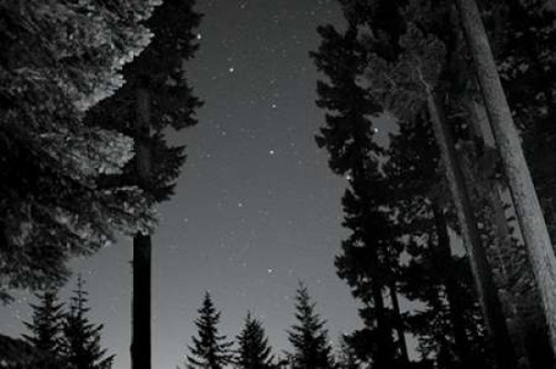 BW Starry Night I Poster Print by Erin Berzel - Item # VARPDXPSBZL811