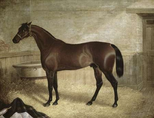 The Winner Poster Print by  John Frederick Herring - Item # VARPDX282196