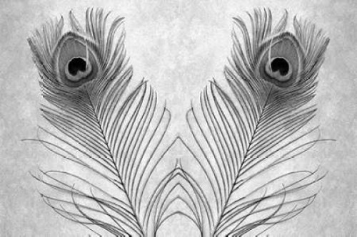 untitled Poster Print by Alan Blaustein - Item # VARPDXABSLF117D
