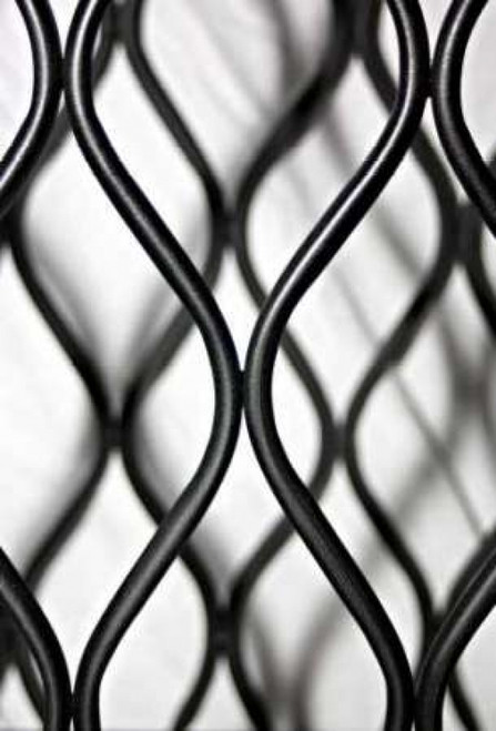 Curves II Poster Print by Tammy Putman - Item # VARPDXPSPTM144