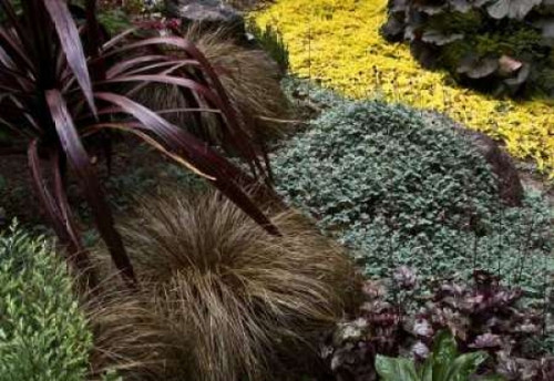 Garden Glimpse IV Poster Print by Rita Crane - Item # VARPDXPSCRN201