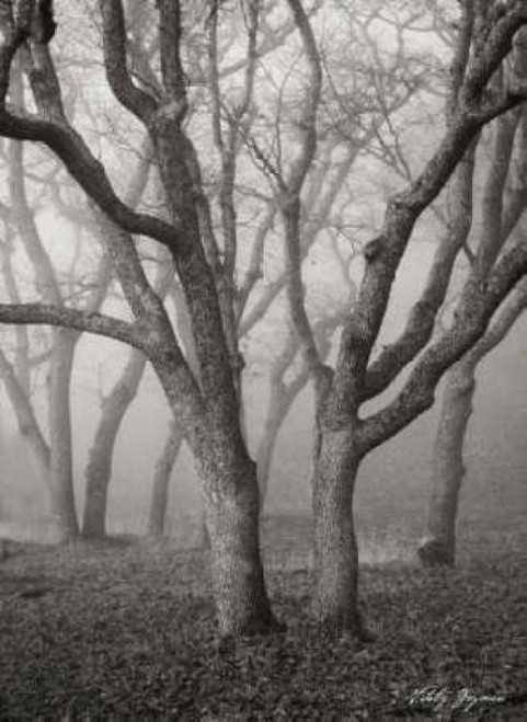 Misty Dance II BandW Poster Print by Vitaly Geyman - Item # VARPDXPSVIT235 Misty Dance II BandW Poster Print by Vitaly Geyman - Item # VARPDXPSVIT235