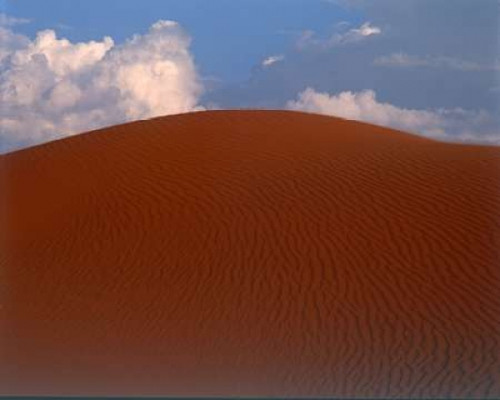 Sand Dune, Sahara Poster Print by  Cyril Blue - Item # VARPDXCET22