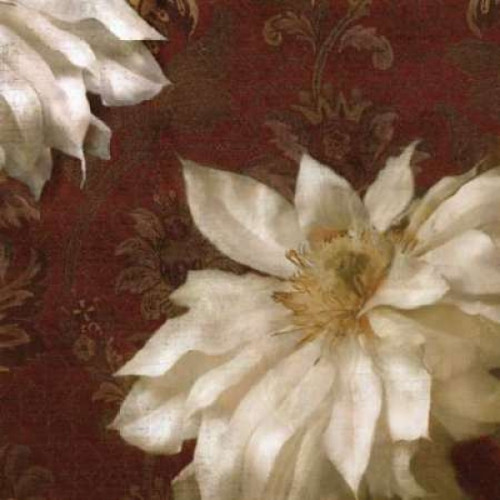 Royal Clematis II Poster Print by Janel Pahl - Item # VARPDXPLP109