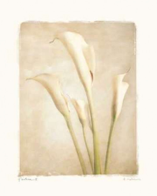 Poetica II Poster Print by Amy Melious - Item # VARPDXMEL280