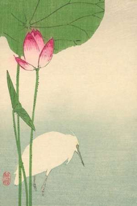 White heron and lotus 1894 Poster Print by Baison - Item # VARPDX341154