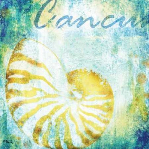 Martinique Shells I Poster Print by Paul Brent