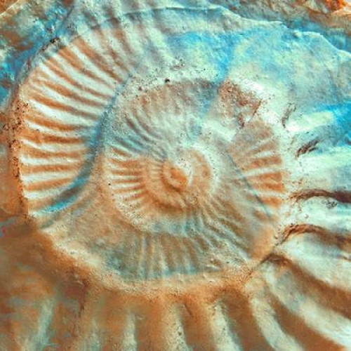 Nautique II Poster Print by Jairo Rodriguez - Item # VARPDX8339