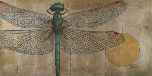 Dragonfly on Silver Poster Print by Patricia Pinto - Item # VARPDX6233