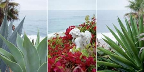 Laguna Coast - 1 Poster Print by Alan Blaustein - Item # VARPDXABSPT002