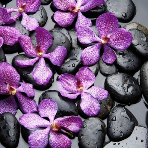 Zen Pebbles Poster Print by PhotoINC Studio - Item # VARPDXIN380013