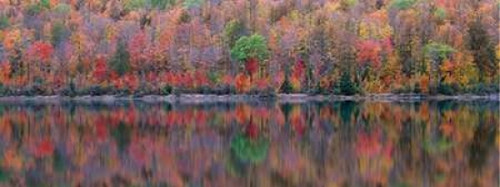 Upson Lake Reflection Poster Print by Jim Becia - Item # VARPDXB3381D