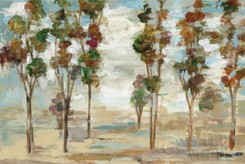 Serene Forest Poster Print by Silvia Vassileva - Item # VARPDX26436