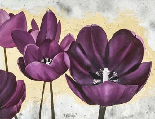 Flowers II Poster Print by David Sedalia - Item # VARPDX640002