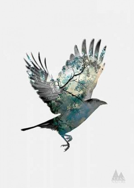 Bird Poster Print by Clean Nature - Item # VARPDXIN32112
