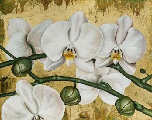 Flowers I Poster Print by David Sedalia - Item # VARPDX640001