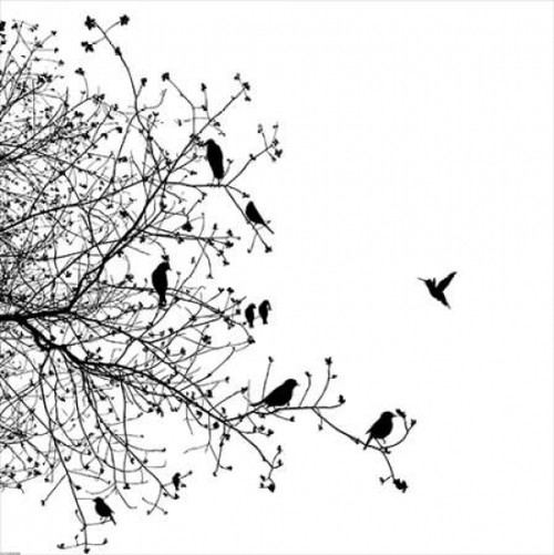 Bird I Poster Print by GraphINC - Item # VARPDXIN32114