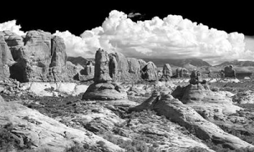 Weathering Sandstones BW Poster Print by Douglas Taylor - Item # VARPDXPSTLR572